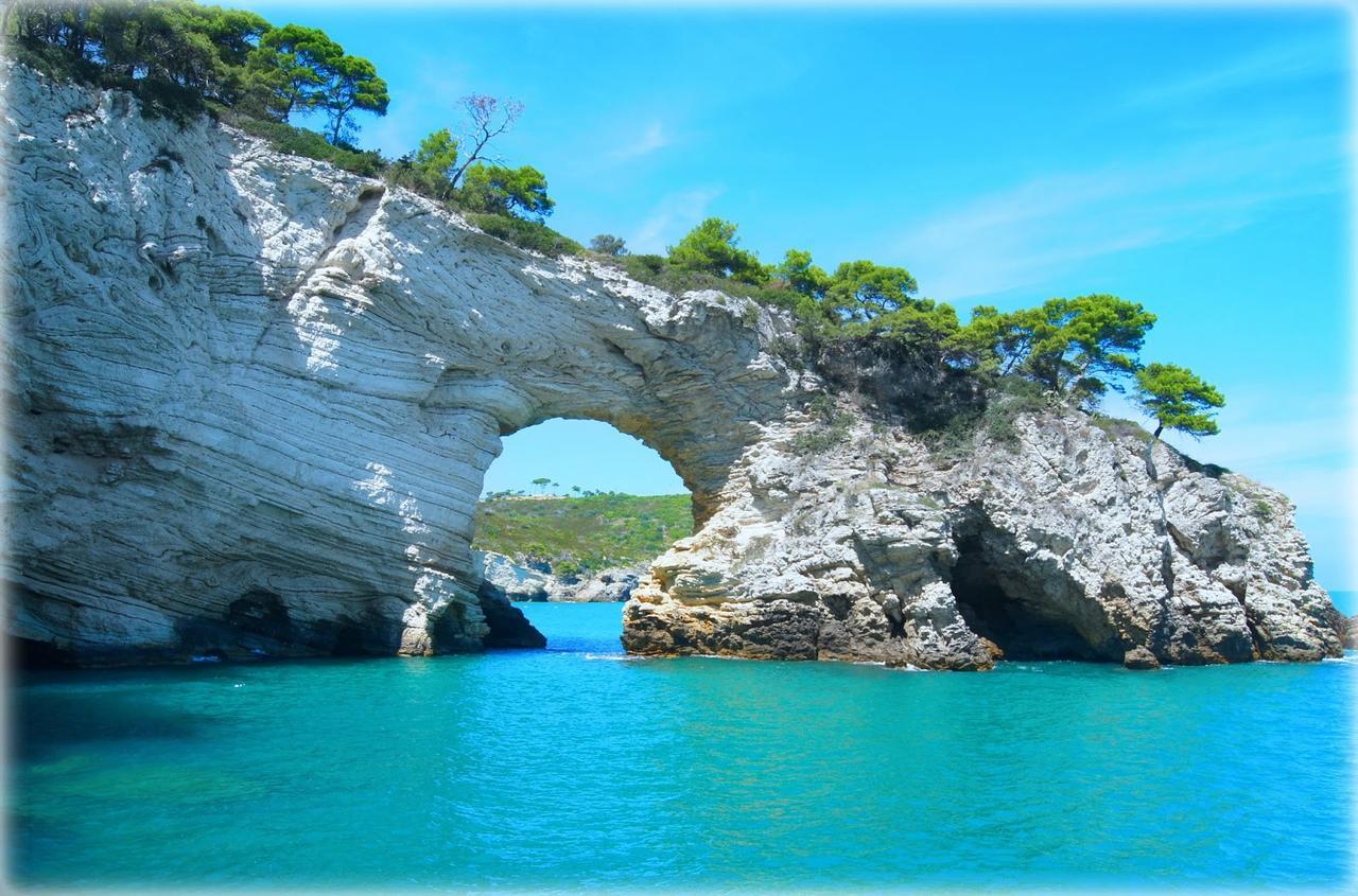 Villaggio Turistico Defensola 维耶斯泰 外观 照片