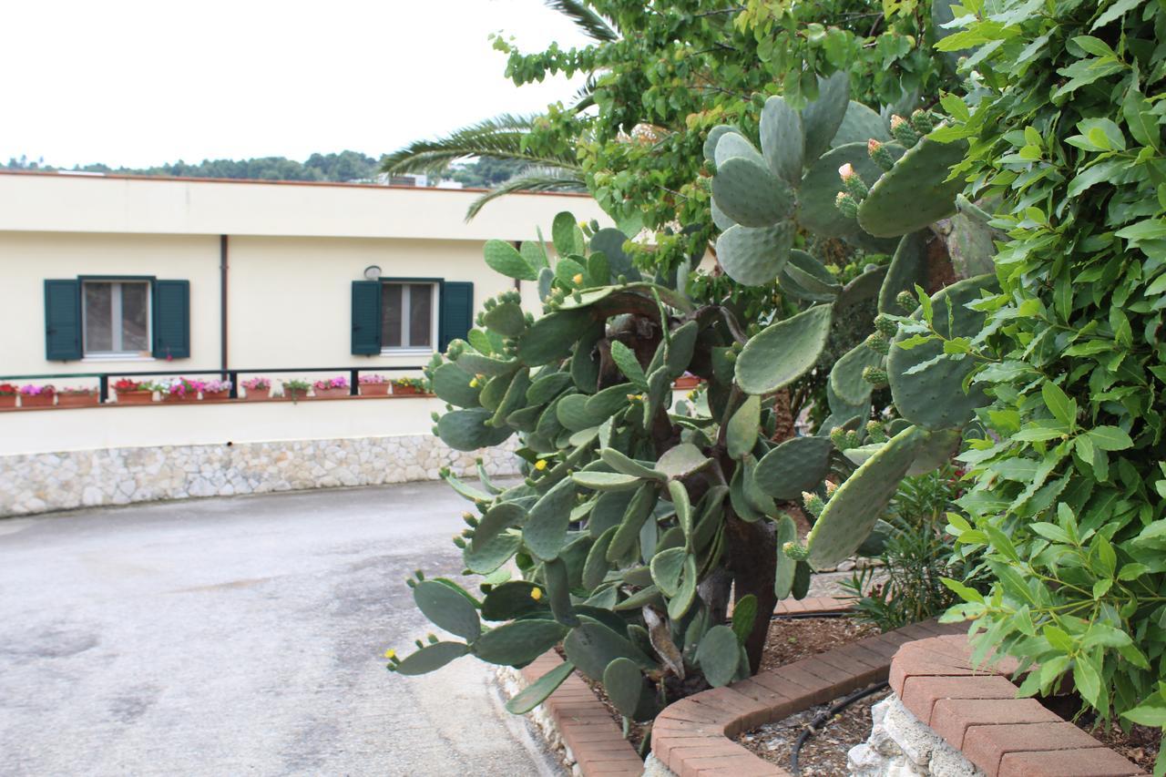 Villaggio Turistico Defensola 维耶斯泰 外观 照片